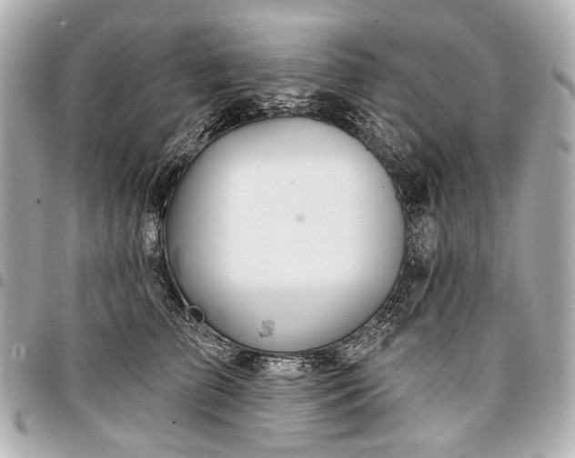 X0000096990709200802221457