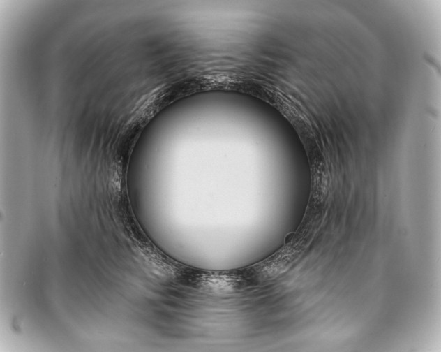 X0000096990710200802221457