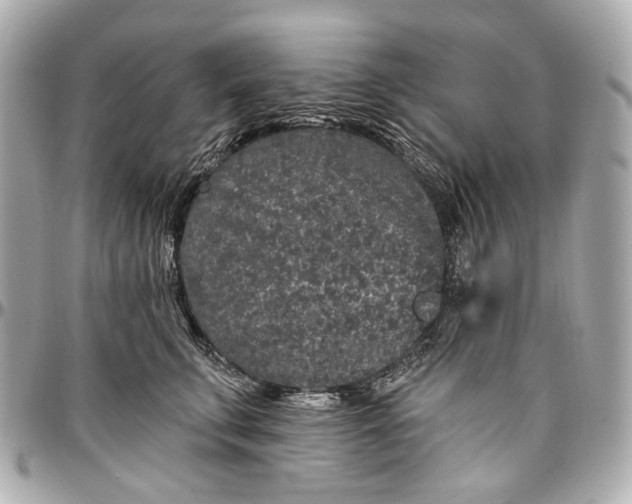 X0000096990711200802221457