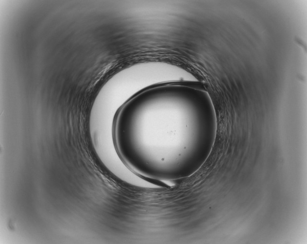 X0000096990712200802221457