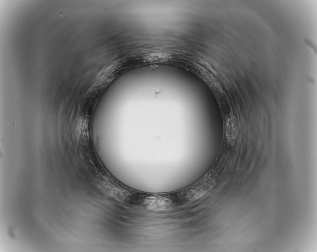 X0000096990714200802221457