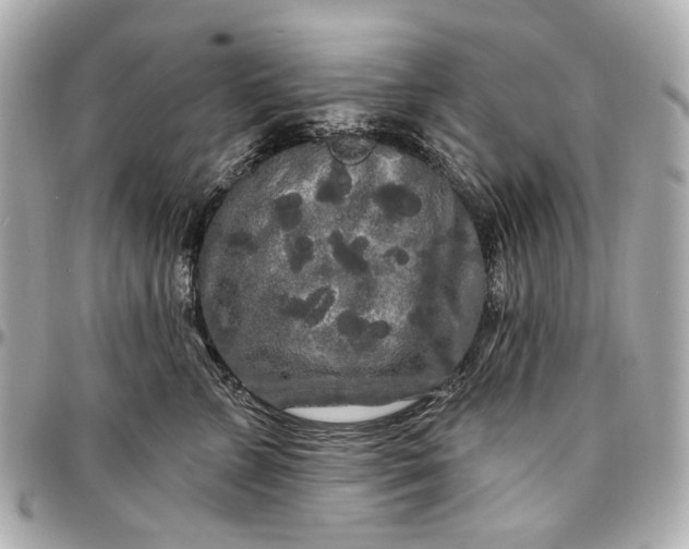 X0000096990715200802221457