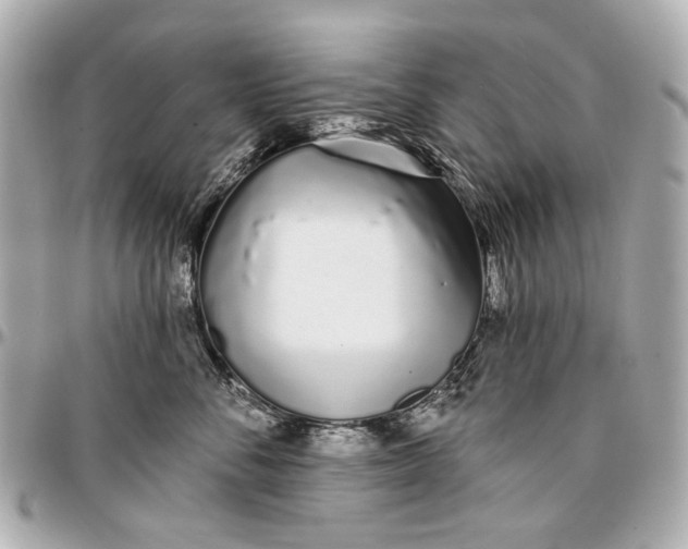 X0000096990716200802221457