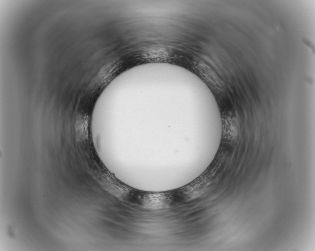 X0000096990717200802221457