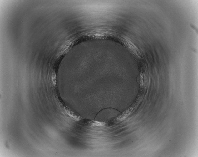 X0000096990718200802221457