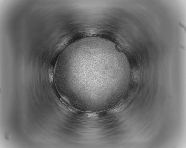 X0000096990719200802221457