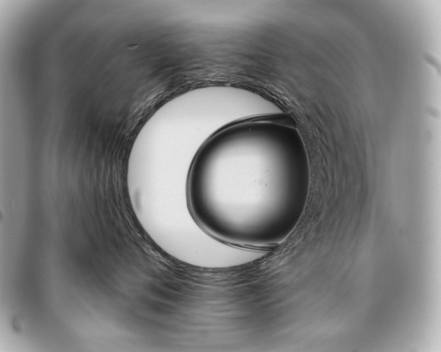 X0000096990720200802221457