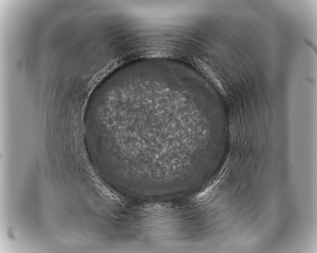 X0000096990721200802221457