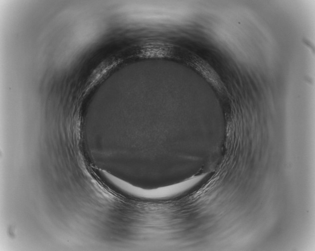 X0000096990722200802221457