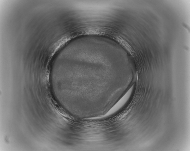 X0000096990723200802221457