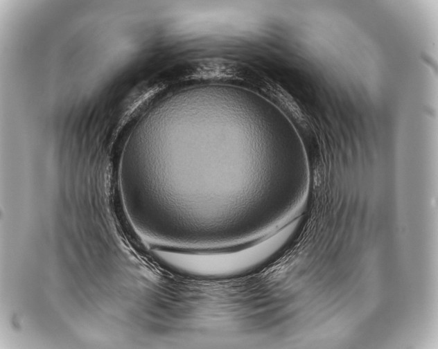 X0000096990724200802221457