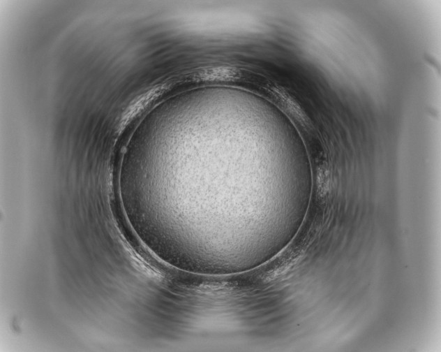 X0000096990725200802221457