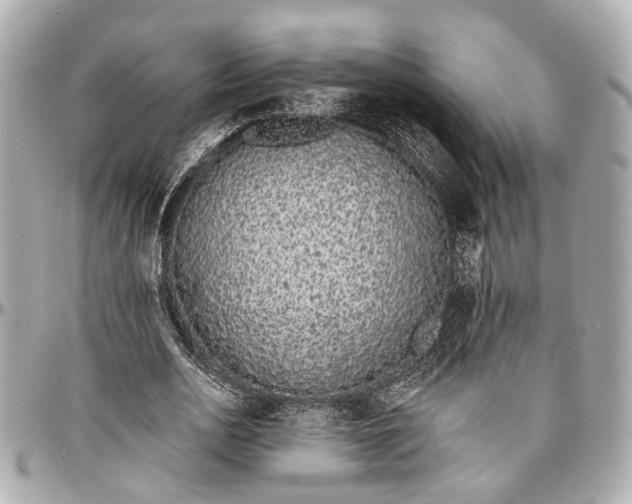 X0000096990726200802221457