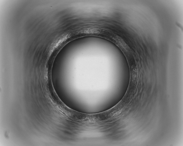 X0000096990727200802221457