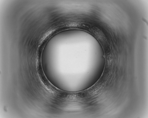 X0000096990728200802221457