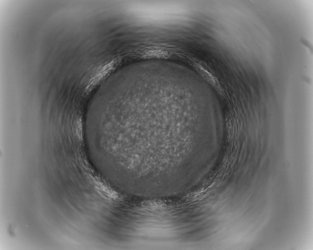 X0000096990729200802221457