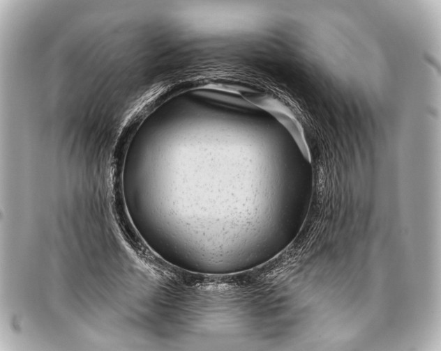 X0000096990730200802221457