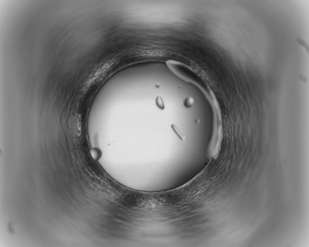 X0000096990731200802221457