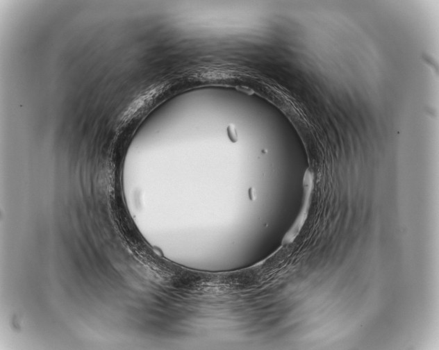 X0000096990732200802221457