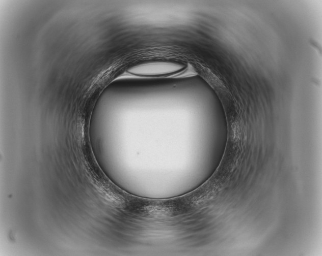 X0000096990733200802221457