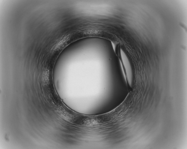 X0000096990735200802221457