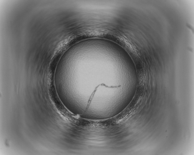 X0000096990736200802221457