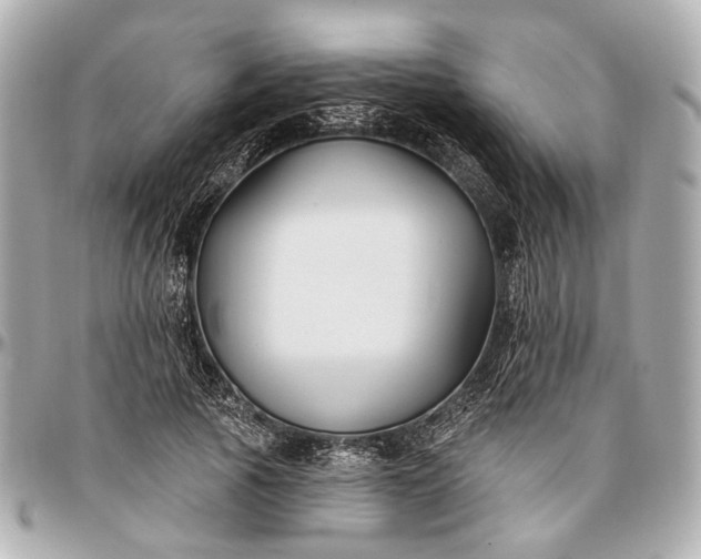 X0000096990737200802221457