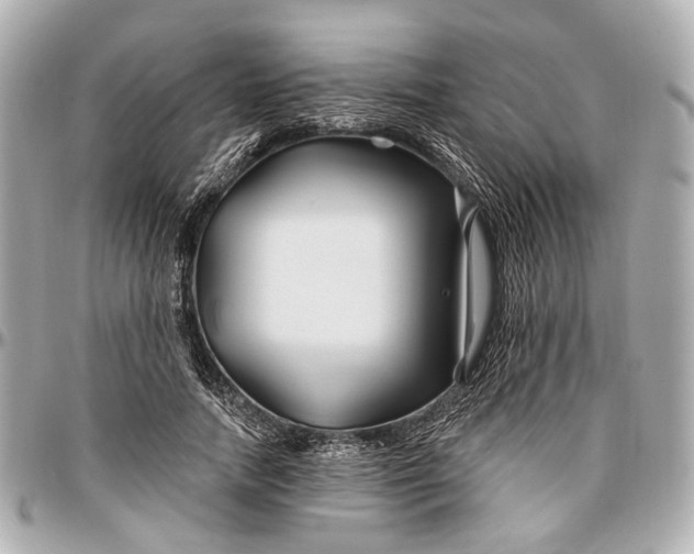 X0000096990738200802221457