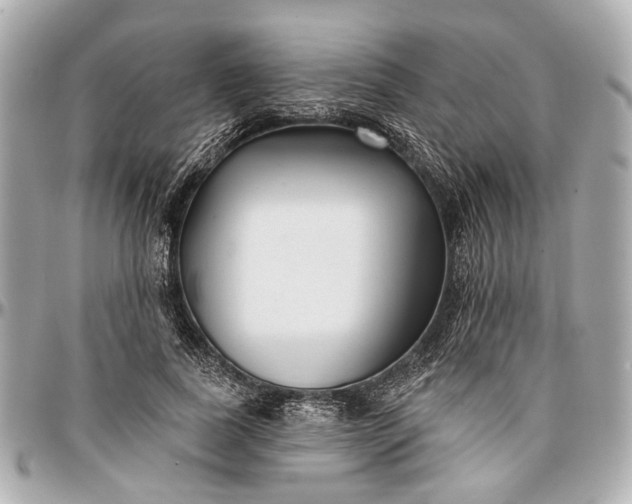 X0000096990739200802221457