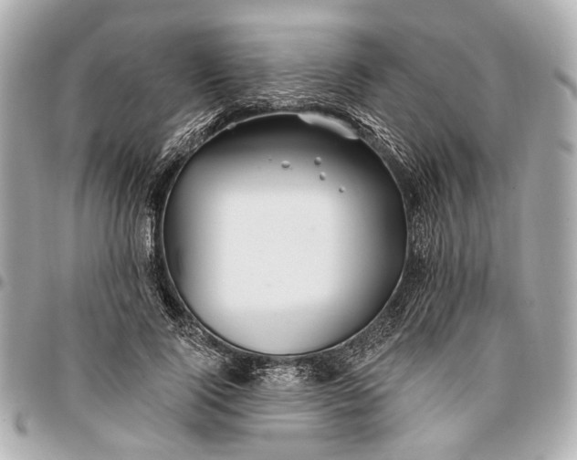 X0000096990740200802221457