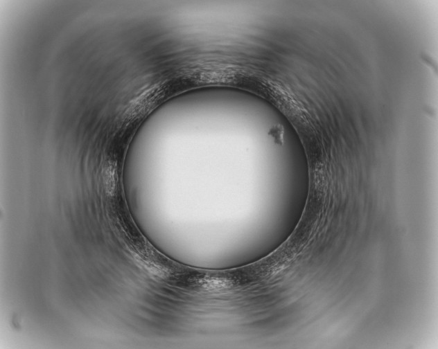 X0000096990741200802221457