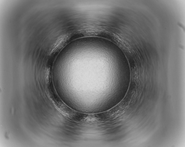 X0000096990742200802221457