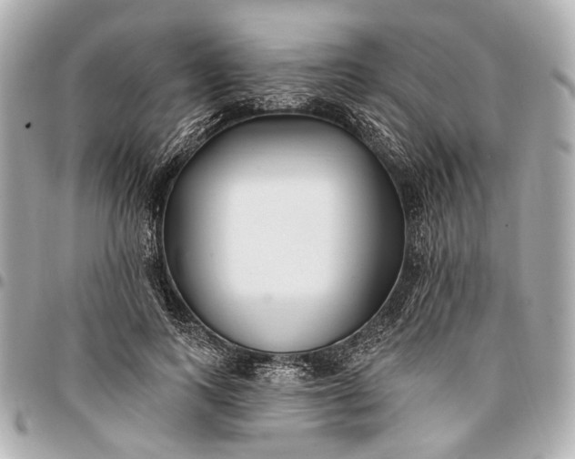 X0000096990743200802221457