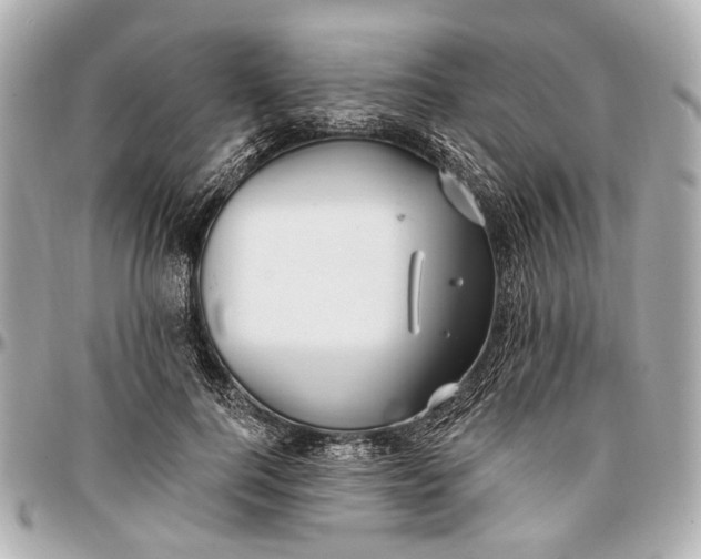 X0000096990744200802221457