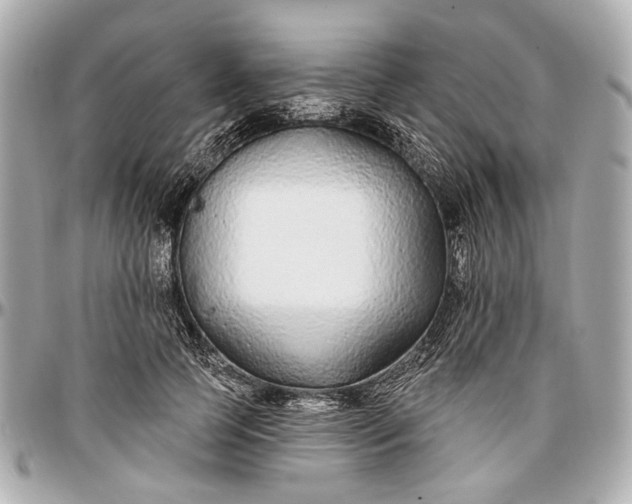 X0000096990745200802221457