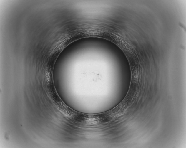 X0000096990746200802221457