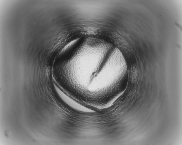 X0000096990747200802221457