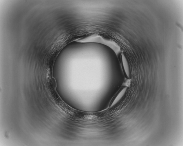 X0000096990748200802221457