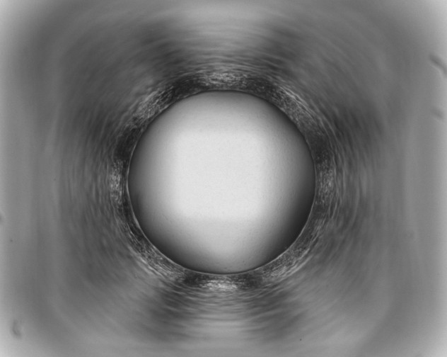 X0000096990749200802221457