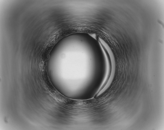 X0000096990750200802221457