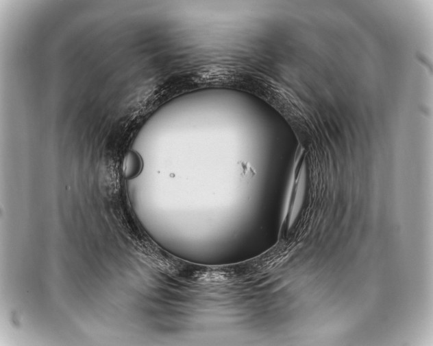 X0000096990751200802221457