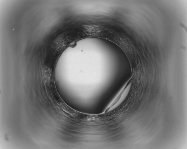 X0000096990752200802221457