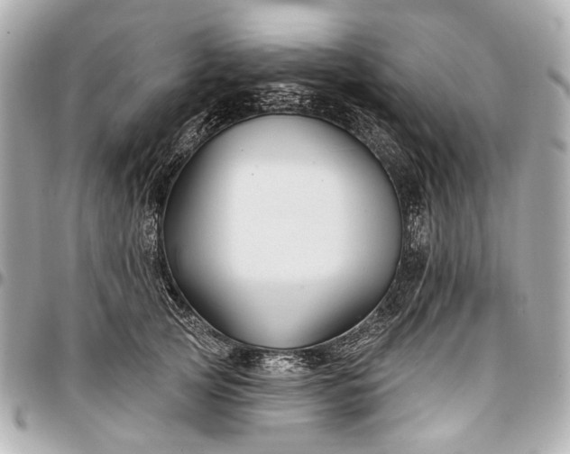 X0000096990753200802221457