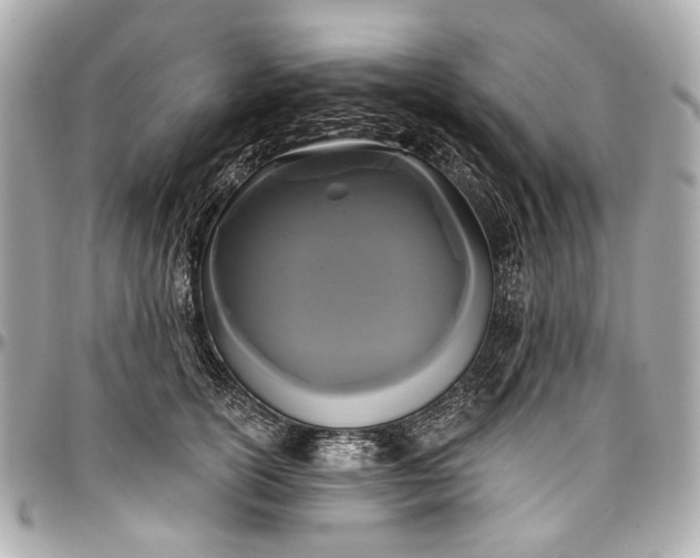 X0000096990754200802221457