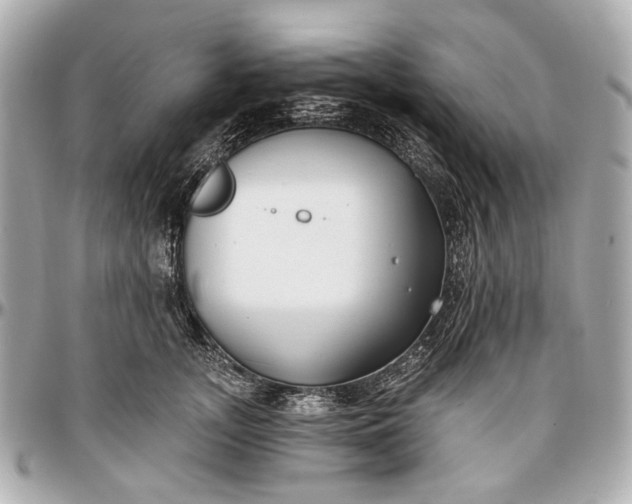 X0000096990755200802221457