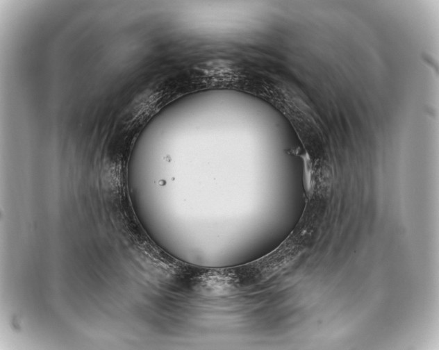 X0000096990756200802221457