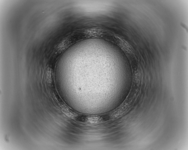 X0000096990757200802221457