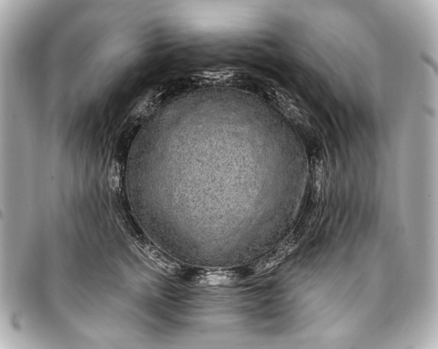 X0000096990758200802221457