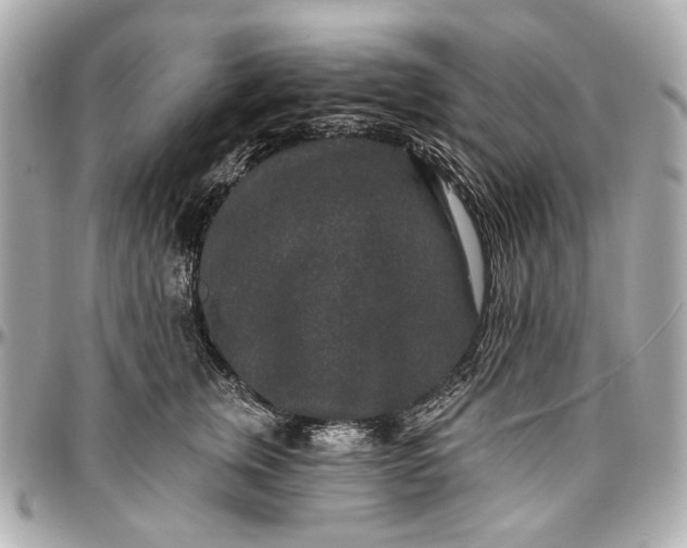 X0000096990759200802221457