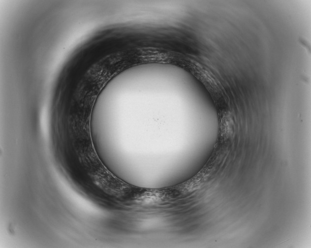 X0000096990764200802221457